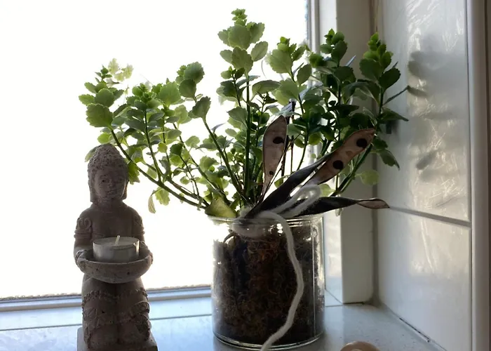 Casa Cinzia Sara * Eckernfoerde